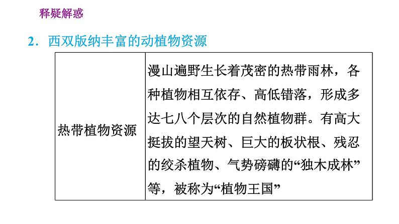 西双版纳——晶莹透亮的“绿宝石”PPT课件免费下载08