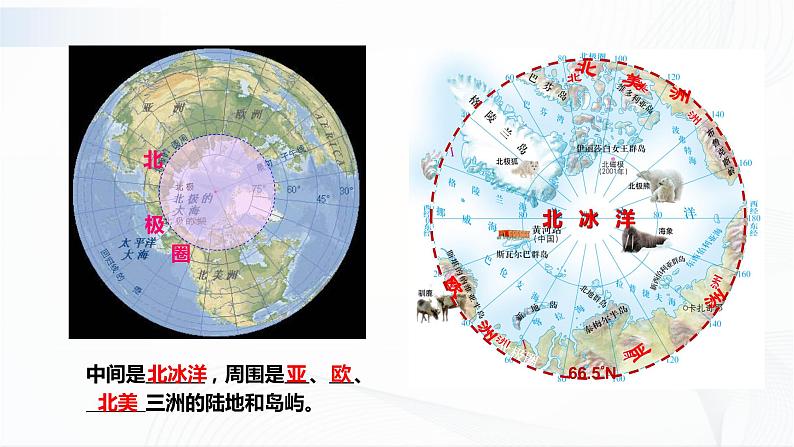 中图版地理八下6.5《极地地区》课件+教案+同步练习07