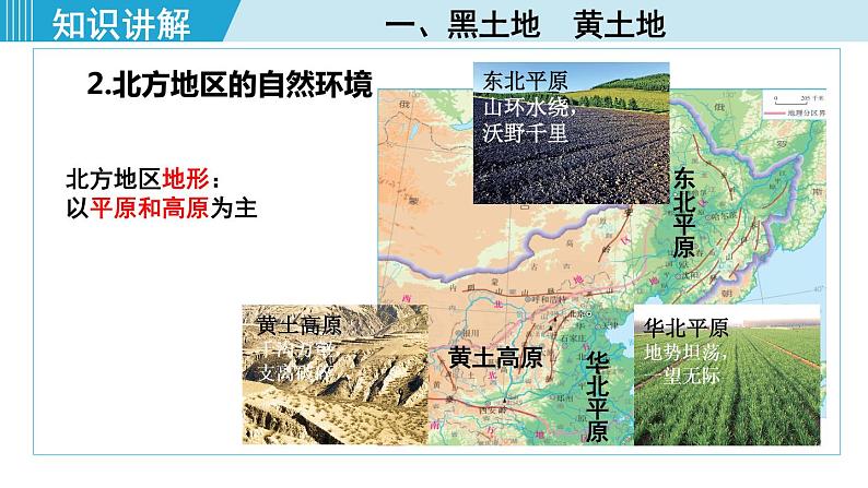 人教版八年级地理下册 6.1自然特征与农业 课件第5页