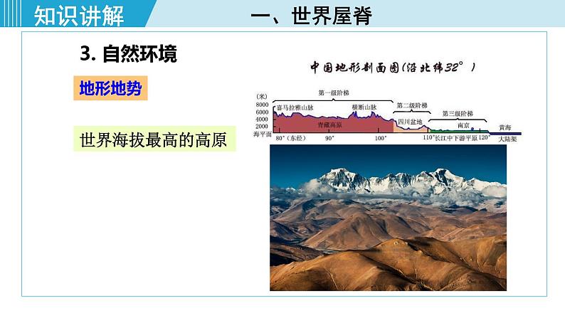 人教版八年级地理下册  9.1自然特征与农业 课件第8页