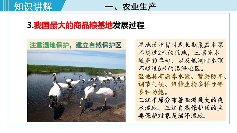 人教版八年级地理下册  6.2.2   从“北大荒”到“北大仓”  我国最大的重工业基地 课件08