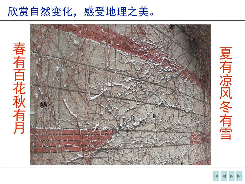 人教版地理七年级上册课件 第三章 第二节气温的变化与分布课件32张ppt第3页