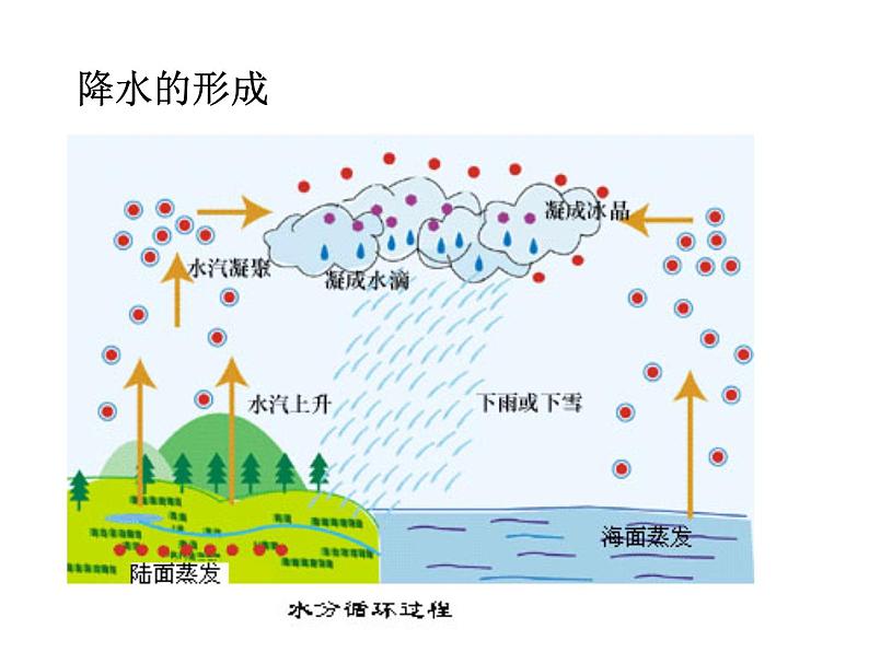 人教版地理七年级上册 第三章第三节 降水的变化与分布（18张ppt）第3页