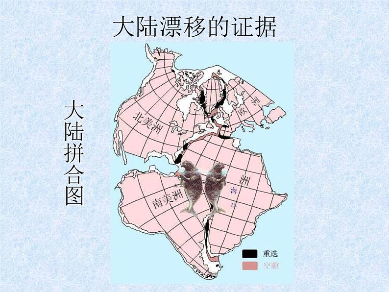 人教版地理七年级上册 海陆的变迁 课件07