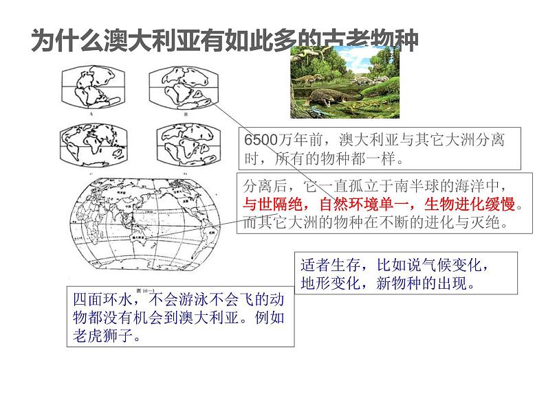 人教版地理七年级下册 8.4 澳大利亚第二课时课件PPT04