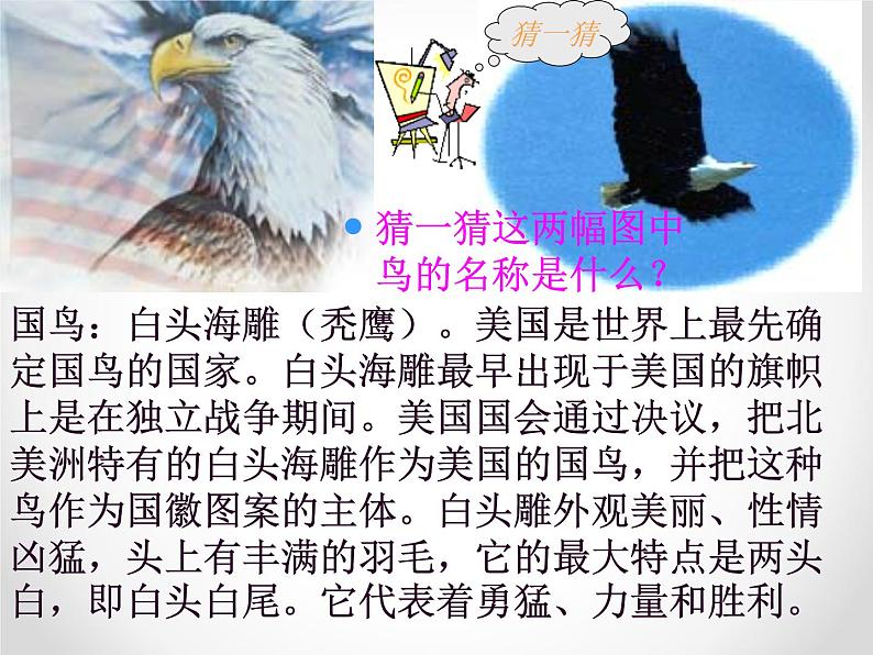 人教版地理七年级下册 9.1美国 课件1第7页