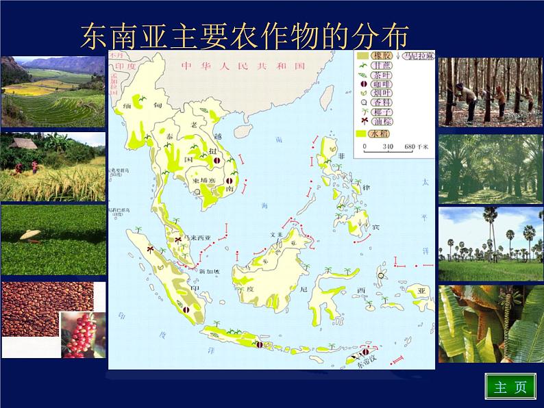 人教版地理七年级下册 东南亚的课件第8页