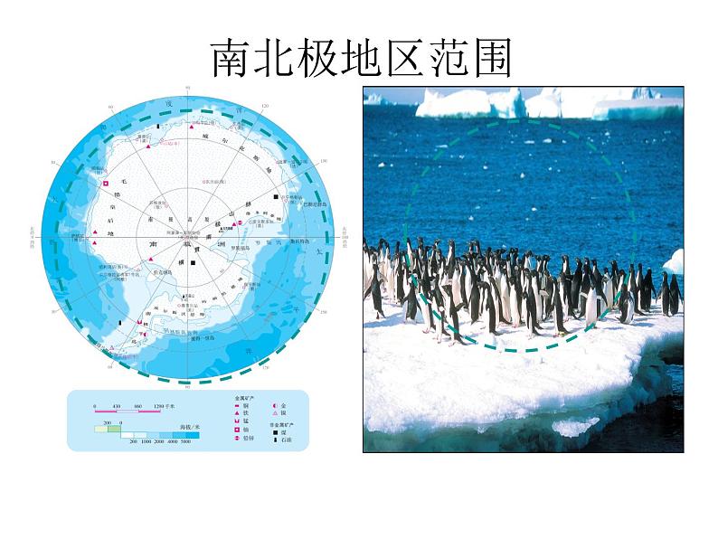 人教版地理七年级下册 极地地区课件PPT02