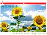 人教版地理七年级下册 俄罗斯_1课件PPT