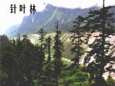人教版地理七年级下册 俄罗斯_1课件PPT