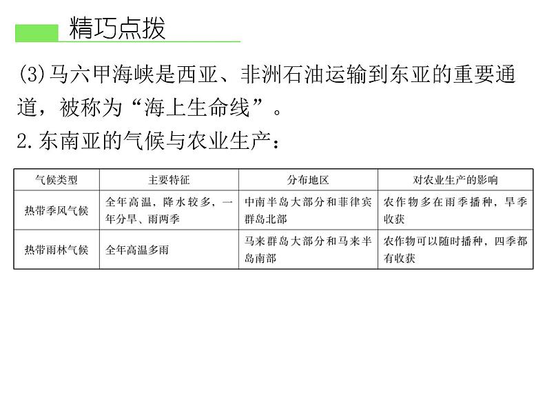 人教版地理七年级下册 第二节 东南亚课件PPT第8页