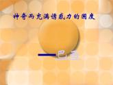 人教版地理七年级下册 巴西课件PPT
