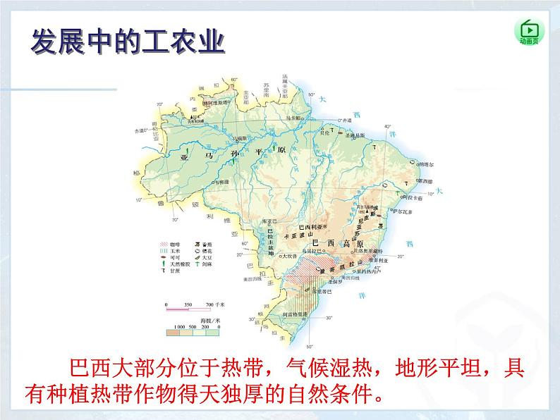 人教版地理七年级下册 第二节_巴西(第2课时)课件PPT第3页