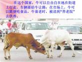 人教版地理七年级下册 第三节 印度2课件PPT