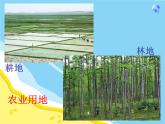 人教版八年级上册地理第三章中国的自然资源第二节土地资源（共49张PPT）