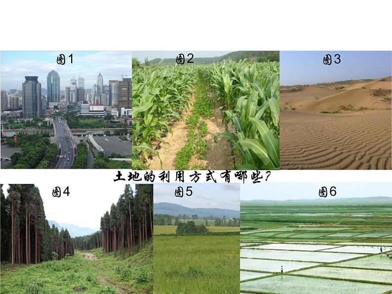 人教新课标八年级地理上册第三章第二节 土地资源 课件（共16张PPT）第3页