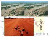 人教版地理八年级上册《3.3 水资源》教学课件（共26张PPT）