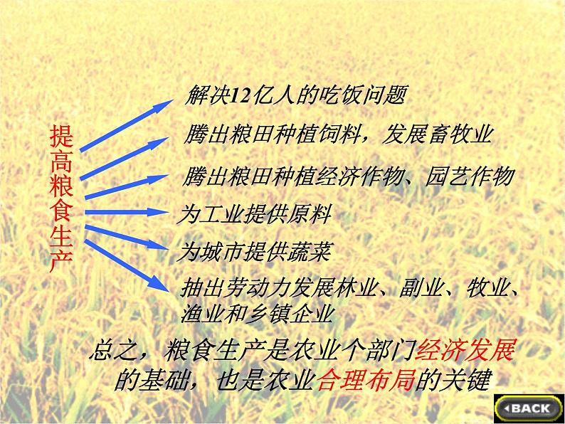 人教版地理八年级上册 我国农业.ppt  (恢复)第6页