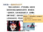 中图版地理八年级下册6.5极地地区第2课时课件