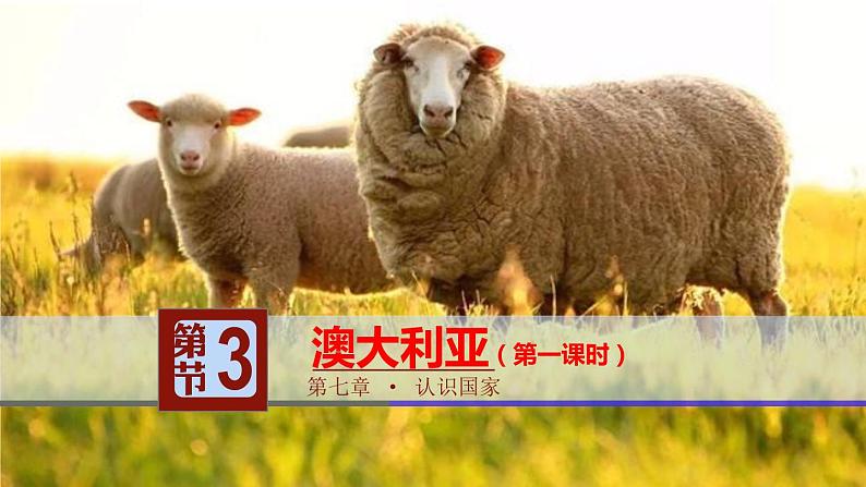 中图版地理八年级下册7.3澳大利亚第1课时课件01