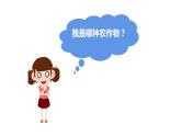 中图版地理八年级下册7.4巴西第3课时课件