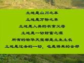 4.2 土地资源与农业——中图版七年级地理下册课件 (共45张PPT)