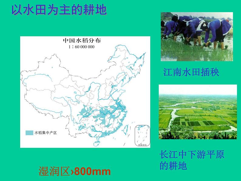 4.2 土地资源与农业——中图版七年级地理下册课件 (共45张PPT)第8页