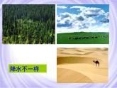 【商务星球版】七年级地理上册 《世界的气候》PPT课件