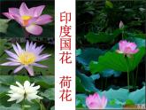 人教版地理七年级下册课件 7.3 印度（2）