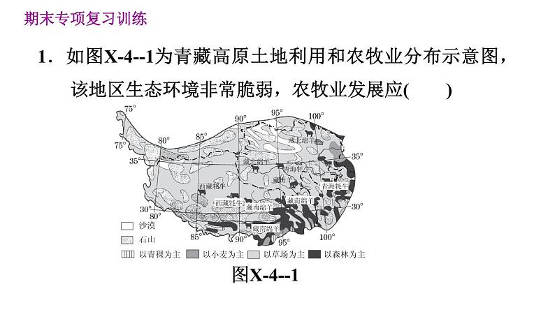 晋教版八年级下册地理 期末专项复习 专项训练四　青藏地区 习题课件第3页