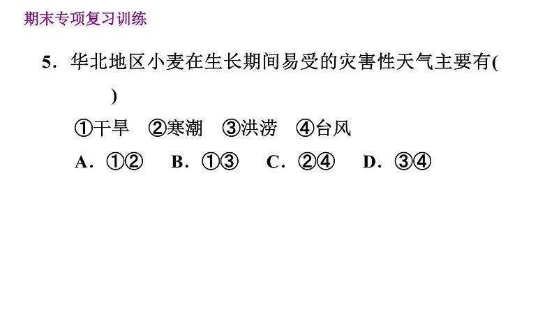 晋教版八年级下册地理 期末专项复习 习题课件08