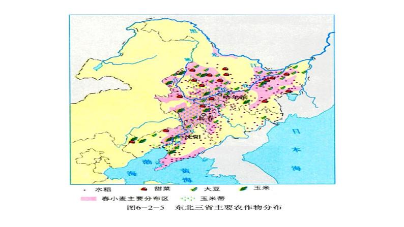 2022八年级地理下册商务星球版第二节  东北三省第2课时（共3课时）共13张PPT第5页