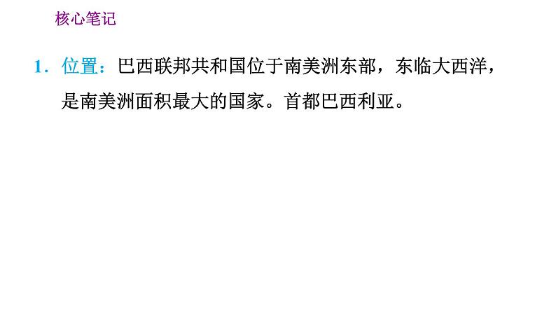 晋教版七年级下册地理 第10章 10.7.1  茂密的热带雨林 习题课件02