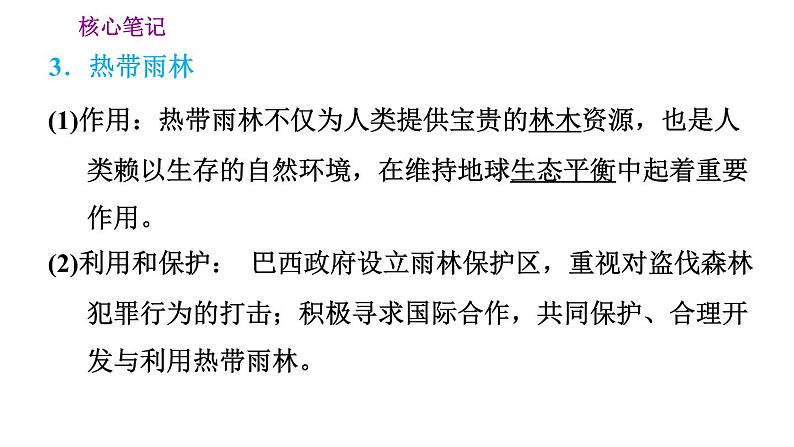 晋教版七年级下册地理 第10章 10.7.1  茂密的热带雨林 习题课件04