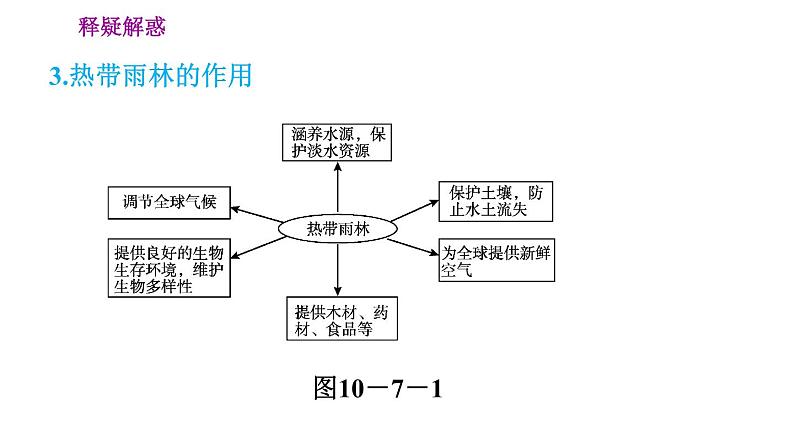 晋教版七年级下册地理 第10章 10.7.1  茂密的热带雨林 习题课件07