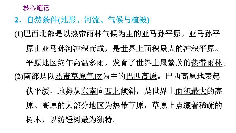 晋教版七年级下册地理 第10章 10.7.1  茂密的热带雨林 习题课件第3页