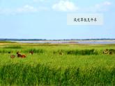 湘教版八年级下册地理课件 第5章第3节  西北地区和青藏地区（第2课时）