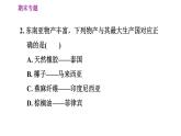 人教版七年级下册地理 期末专练 专题一　区域认知：世界典型区域的地理特征 习题课件