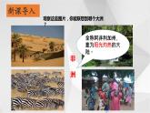 6.2非洲  課件  2021-2022學(xué)年七年級(jí)地理下冊（湘教版）