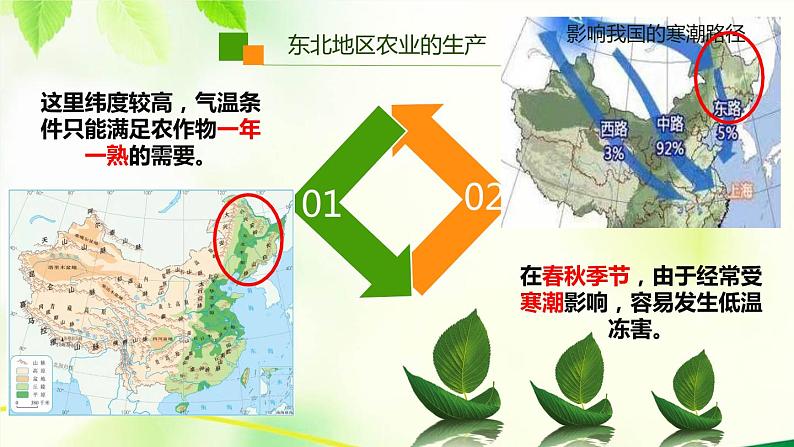 2021-2022学年人教版地理八年级下册第六章第二节《白山黑水—东北三省》第二课时课件04