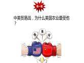 9.1.2 美国-七年级地理下册课件（人教版）