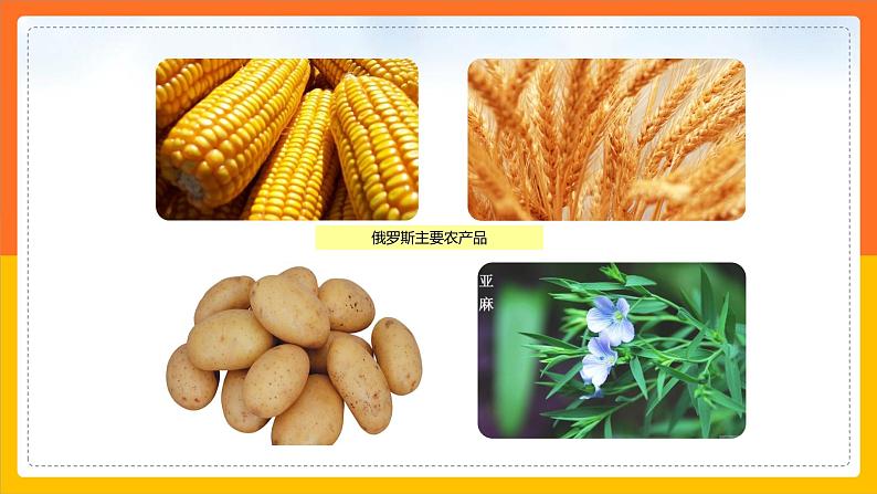 7.5.2俄罗斯（课件+教案 +练习+导学案）07