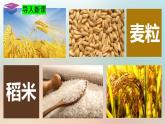 6.3东北地区的产业分布（湘教版）课件PPT