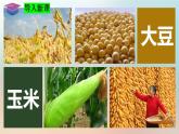6.3东北地区的产业分布（湘教版）课件PPT