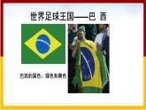 第8章 不同类型的国家 第5节 巴西课件PPT