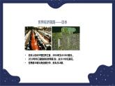 5.2.2亚洲的人文环境和地域差异（课件+教案 +练习+学案）