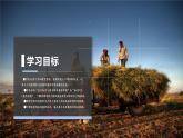 7.3印度（课件）-七年级地理下册同步（人教版）