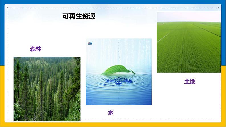第8课《自然资源的基本特征》课件第8页