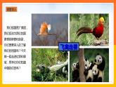 1.1 位置和疆域（课件+教学设计+学案+练习）