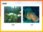 3.4 海洋资源（课件+教学设计+学案+练习）